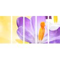 5-PIECE CANVAS PRINT FLOWER IN A SPRING TOUCH - PICTURES FLOWERS{% if product.category.pathNames[0] != product.category.name %} - PICTURES{% endif %}