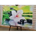 WANDBILD JAPANISCHE ORCHIDEE - BILDER MIT FENG SHUI-MOTIVEN - BILDER