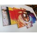 5-PIECE CANVAS PRINT SURREALISTIC EYE - ABSTRACT PICTURES - PICTURES