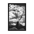 AFFICHE ARBRE EN NOIR ET BLANC COUVERT DE NUAGES - NOIR ET BLANC - AFFICHES