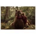 OBRAZ PŘÁTELSTVÍ V LESE - OBRAZY MEDVĚDI - OBRAZY