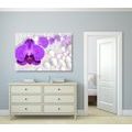 CANVAS PRINT ORCHID ON AN ABSTRACT BACKGROUND - PICTURES FLOWERS - PICTURES