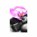 POSTER BEAUTIFUL INTERPLAY OF STONES AND ORCHIDS - FENG SHUI - POSTERS