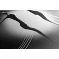 CANVAS PRINT ETHNIC LOVE IN BLACK AND WHITE - BLACK AND WHITE PICTURES - PICTURES