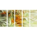 5-PIECE CANVAS PRINT SEA BUCKTHORN - PICTURES FLOWERS - PICTURES