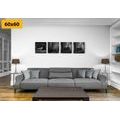 CANVAS PRINT SET FOREST ANIMALS IN BLACK AND WHITE - SET OF PICTURES - PICTURES