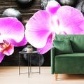 FOTOTAPETA PIĘKNA ORCHIDEA I KAMIENIE - TAPETY FENG SHUI - TAPETY