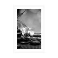 POSTER WITH MOUNT FENG SHUI STILL LIFE IN BLACK AND WHITE - BLACK AND WHITE - POSTERS