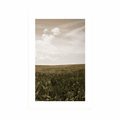 AFFICHE AVEC MONTURE PRAIRIE AVEC UNE TOUCHE VINTAGE - NATURE - AFFICHES