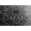 CANVAS PRINT BLACK AND WHITE ROSETTE - BLACK AND WHITE PICTURES - PICTURES