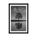 POSTER WITH MOUNT STARRY SKY ABOVE A LONELY TREE IN BLACK AND WHITE - BLACK AND WHITE - POSTERS