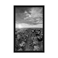 POSTER SUNRISE OVER A MEADOW WITH TULIPS IN BLACK AND WHITE - BLACK AND WHITE - POSTERS