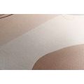 CANVAS PRINT ABSTRACT SHAPES NO3 - PICTURES OF ABSTRACT SHAPES - PICTURES