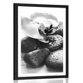 POSTER WITH MOUNT BEAUTIFUL INTERPLAY OF STONES AND ORCHIDS IN BLACK AND WHITE - BLACK AND WHITE - POSTERS