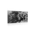 CANVAS PRINT KING OF ANIMALS IN BLACK AND WHITE WATERCOLOR - BLACK AND WHITE PICTURES - PICTURES