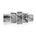 5-PIECE CANVAS PRINT SURREALISTIC TREES IN BLACK AND WHITE - BLACK AND WHITE PICTURES - PICTURES