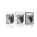 POSTER WITH MOUNT PEONIES IN BLACK AND WHITE - BLACK AND WHITE - POSTERS