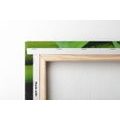 CANVAS PRINT YIN AND YANG SYMBOL - PICTURES FENG SHUI - PICTURES