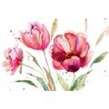 WALLPAPER TULIPS IN AN INTERESTING DESIGN - WALLPAPERS WITH IMITATION OF PAINTINGS - WALLPAPERS