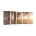 5-PIECE CANVAS PRINT MISTY AUTUMN FOREST - PICTURES OF NATURE AND LANDSCAPE - PICTURES