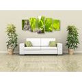 5-PIECE CANVAS PRINT HARMONIOUS BUDDHA - PICTURES FENG SHUI - PICTURES