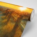 WALL MURAL FASCINATING SUNSET - WALLPAPERS NATURE - WALLPAPERS