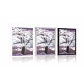 POSTER TREE COVERED WITH CLOUDS - NATURE - POSTERS