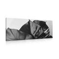 IMPRESSION SUR TOILE FEUILLE DE MONSTERA EN NOIR ET BLANC - IMPRESSIONS SUR TOILE NOIR ET BLANC - IMPRESSION SUR TOILE