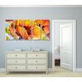 IMPRESSION SUR TOILE EN 5 PARTIES BOUQUET DE FLEURS DE PAVOT - IMPRESSIONS SUR TOILE FLEURS - IMPRESSION SUR TOILE