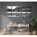 5-PIECE CANVAS PRINT LAKE IN BEAUTIFUL NATURE IN BLACK AND WHITE - BLACK AND WHITE PICTURES - PICTURES