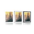 POSTER WITH MOUNT ARTISTIC PAINTING - NATURE - POSTERS