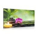 CANVAS PRINT FENG SHUI HARMONY - PICTURES FENG SHUI - PICTURES