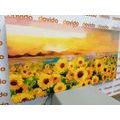 CANVAS PRINT SUNFLOWER FIELD - PICTURES FLOWERS - PICTURES