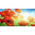 CANVAS PRINT POPPIES IN THE MEADOW - PICTURES FLOWERS - PICTURES