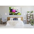 QUADRO NATURA MORTA SPA CON ORCHIDEA VIOLA - QUADRI FENG SHUI - QUADRI