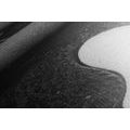 CANVAS PRINT SPA STILL LIFE WITH YIN AND YANG SYMBOL IN BLACK AND WHITE - BLACK AND WHITE PICTURES - PICTURES
