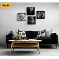 CANVAS PRINT SET WILD ANIMALS IN BLACK AND WHITE - SET OF PICTURES - PICTURES