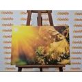 CANVAS PRINT ANGEL WITH SUN RAYS - PICTURES OF ANGELS - PICTURES