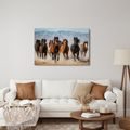 OBRAZ DIVOKÝ BĚH KONÍ KRAJINOU - OBRAZY KONĚ - OBRAZY