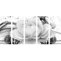 5-PIECE CANVAS PRINT LUXURY ROSE IN BLACK AND WHITE - BLACK AND WHITE PICTURES - PICTURES