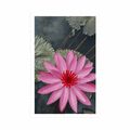 POSTER CHARMING LOTUS FLOWER - FLOWERS - POSTERS