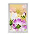 POSTER SOMMERBLUMEN - BLUMEN - POSTER