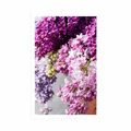 AFFICHE LILAS DANS LES TONS DE ROSE - FLEURS - AFFICHES