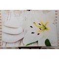 CANVAS PRINT LILY AND MASSAGE STONES IN A WHITE DESIGN - PICTURES FENG SHUI - PICTURES