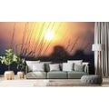 SELF ADHESIVE WALL MURAL SUNRISE OVER A MEADOW - SELF-ADHESIVE WALLPAPERS - WALLPAPERS