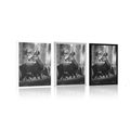 POSTER DEER IN A PINE FOREST IN BLACK AND WHITE - BLACK AND WHITE - POSTERS