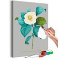 PICTURE PAINTING BY NUMBERS CAMELLIA FLOWER - PAINTING BY NUMBERS{% if kategorie.adresa_nazvy[0] != zbozi.kategorie.nazev %} - PAINTING BY NUMBERS{% endif %}