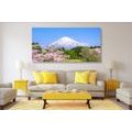 CANVAS PRINT MOUNT FUJI - PICTURES OF NATURE AND LANDSCAPE - PICTURES