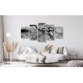 5-PIECE CANVAS PRINT SURREALISTIC TREES IN BLACK AND WHITE - BLACK AND WHITE PICTURES - PICTURES