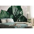 SELF ADHESIVE WALL MURAL MONSTERA LEAF - SELF-ADHESIVE WALLPAPERS - WALLPAPERS